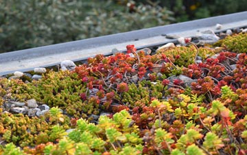 the cost of Talog green roof installation