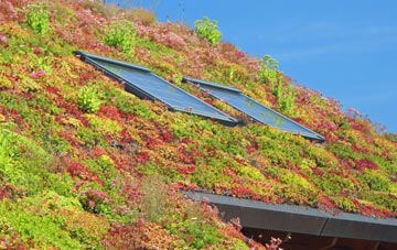 Talog living roof systems